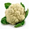 Fresh cauliflower phool gobi vegetable for cooking at Euro Hyper Market