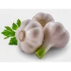 Fresh garlic lehsan for cooking at Euro Hyper Market