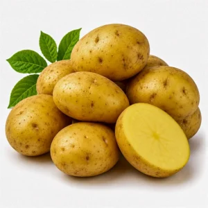 ALOO NEW