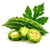 Fresh bitter gourd karela vegetable for cooking at Euro Hyper Market