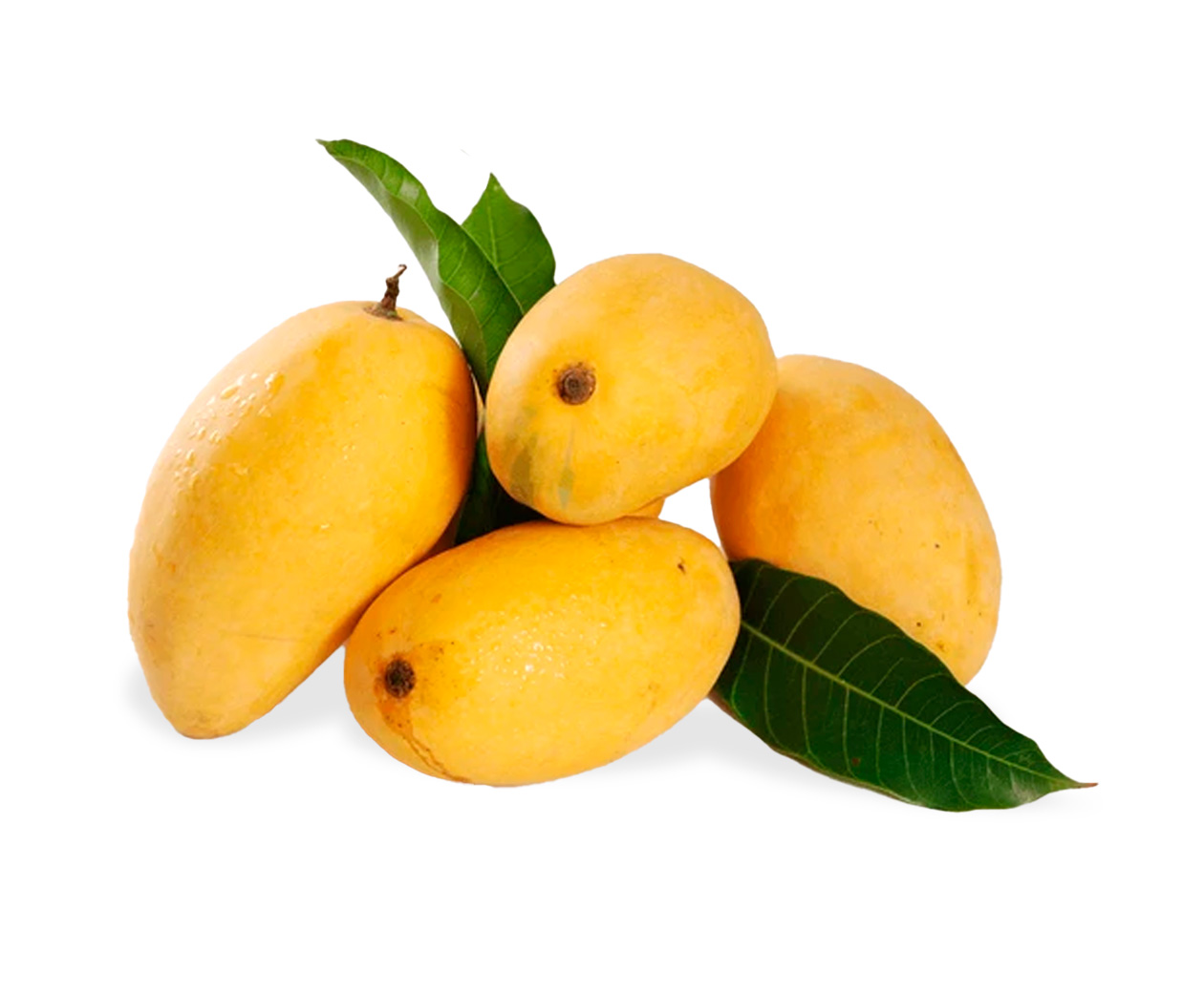 vip-chaunsa-aam