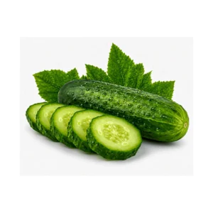 Fresh cucumber kheera for salads and raita at Euro Hyper Market