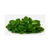 Fresh mint podina leaves for chutney and cooking at Euro Hyper Market