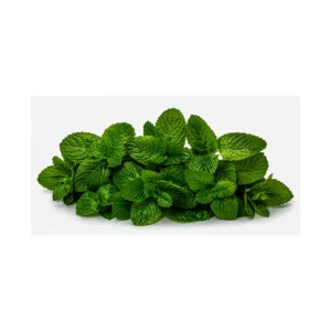Fresh mint podina leaves for chutney and cooking at Euro Hyper Market