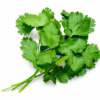 Fresh coriander hara dhania leaves for cooking at Euro Hyper Market