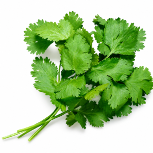 Fresh coriander hara dhania leaves for cooking at Euro Hyper Market