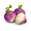 Fresh turnip shaljam vegetable for cooking at Euro Hyper Market