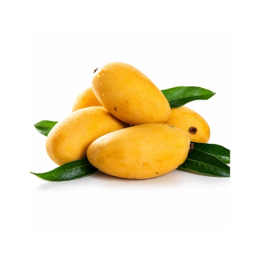 Fresh Chaunsa mango aam fruit at Euro Hyper Market