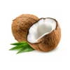 Fresh coconut nariyal fruit at Euro Hyper Market