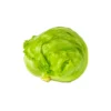 Fresh iceberg lettuce salad patta for salads and burgers at Euro Hyper Market