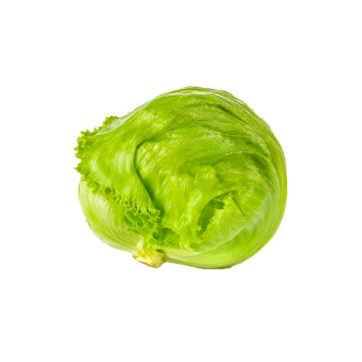 Fresh iceberg lettuce salad patta for salads and burgers at Euro Hyper Market