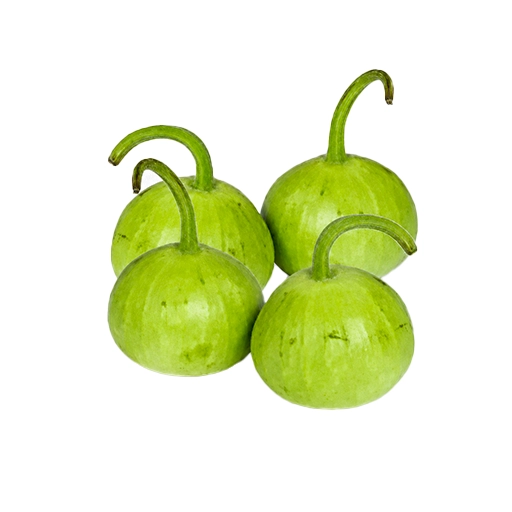 Fresh round gourd gol kaddu vegetable for cooking at Euro Hyper Market