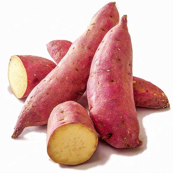 Fresh shakarkandi sweet potato vegetable for cooking and snacks at Euro Hyper Market