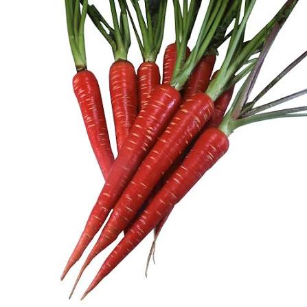 Fresh desi gajar carrot vegetable for cooking and salads at Euro Hyper Market
