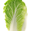 Fresh China Gobhi Chinese Cabbage