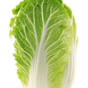 china-gobhi-chinese-cabbage