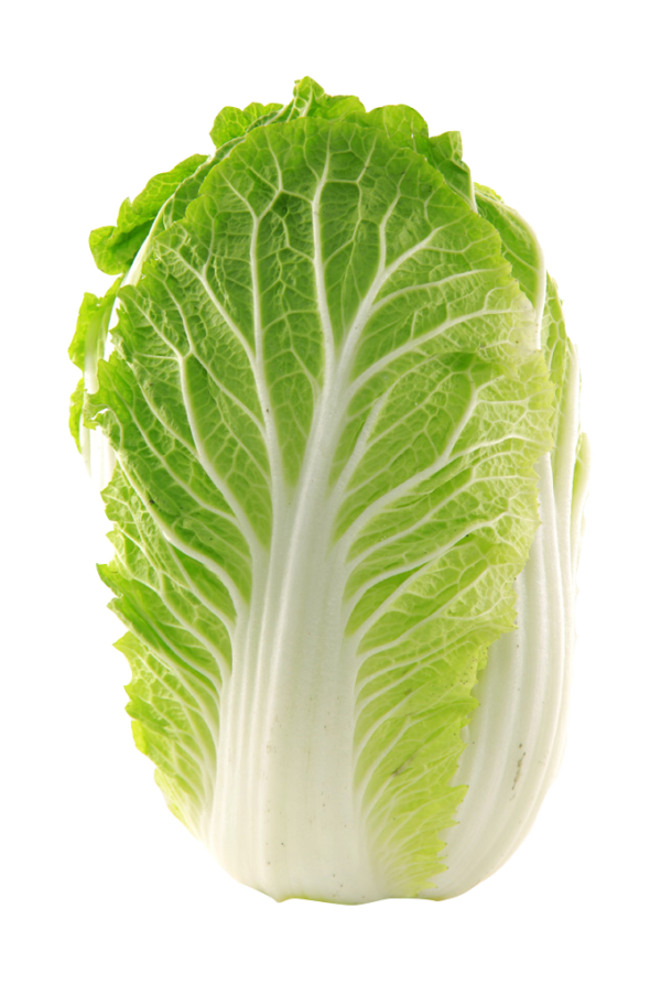 Fresh China Gobhi Chinese Cabbage
